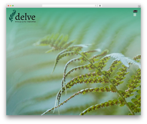 Beaver Builder Theme WordPress theme - delvecare.com