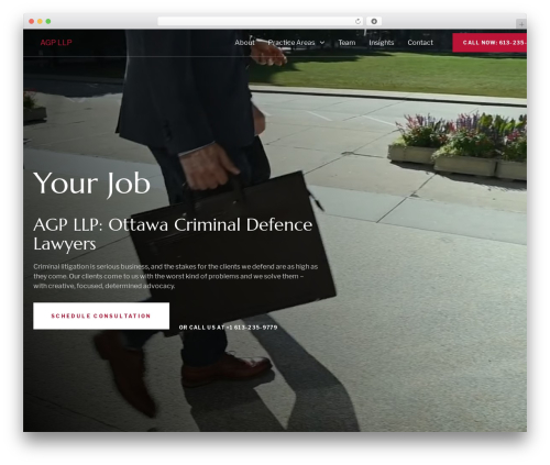 customTheme WordPress theme - agpllp.ca
