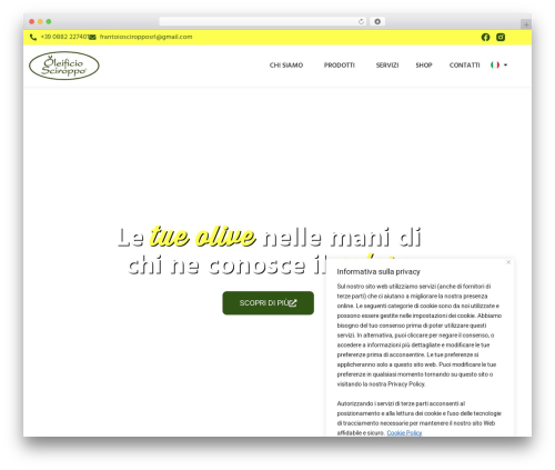 Theme Builder For Elementor (theme-builder-for-elementor) free WordPress plugin - oleificiosciroppo.it Theme Builder For Elementor (theme-builder-for-elementor) free WordPress plugin - oleificiosciroppo.it