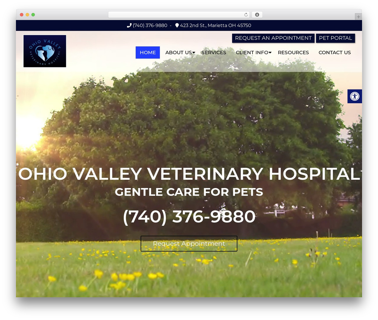 Parent Theme theme WordPress - ohiovalleyvet.com