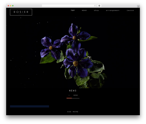 Sydney portfolio WordPress plugin - rosier-fleur.com