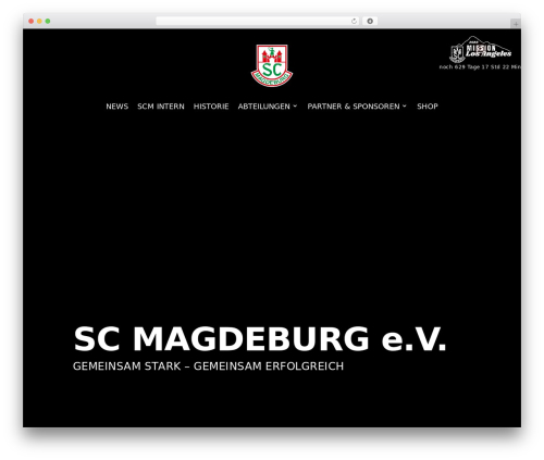 Theme WordPress Divi - sc-magdeburg.de