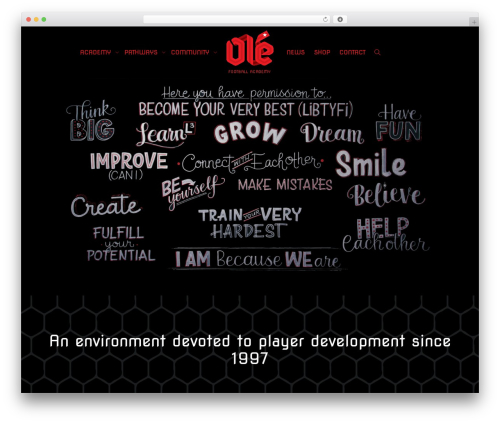Social Media Icons Widget (spoontalk-social-media-icons-widget) free WordPress plugin - olefootballacademy.co.nz
