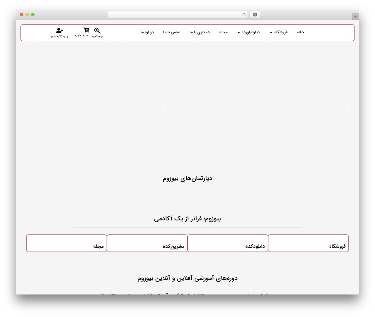 WordPress theme Hello Elementor Child - biozoom.ir