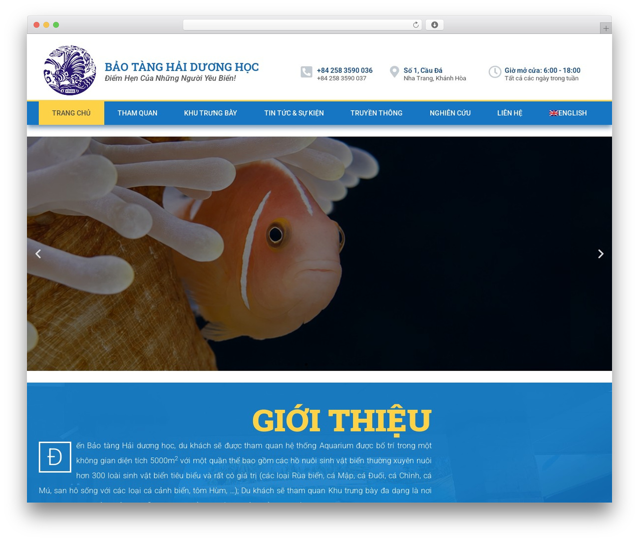 WordPress theme Hello Elementor - baotanghdh.vn WordPress theme Hello Elementor - baotanghdh.vn