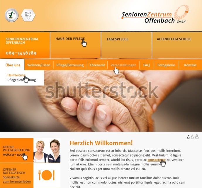 WP theme SZO by unique