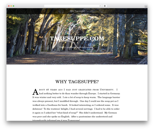 Book Lite WordPress theme - tagesuppe.com
