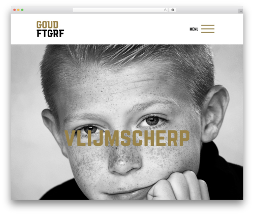 Wp_media_boxes WordPress plugin - goudfotografie.nl