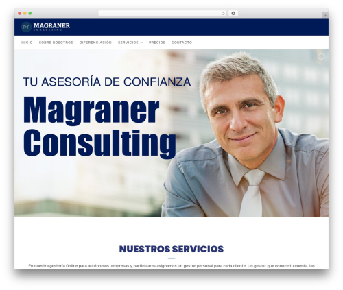 Consultix theme WordPress - magranerconsulting.com