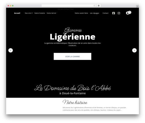 Custom divi builder modules WordPress plugin - domaineduboislabbe.fr