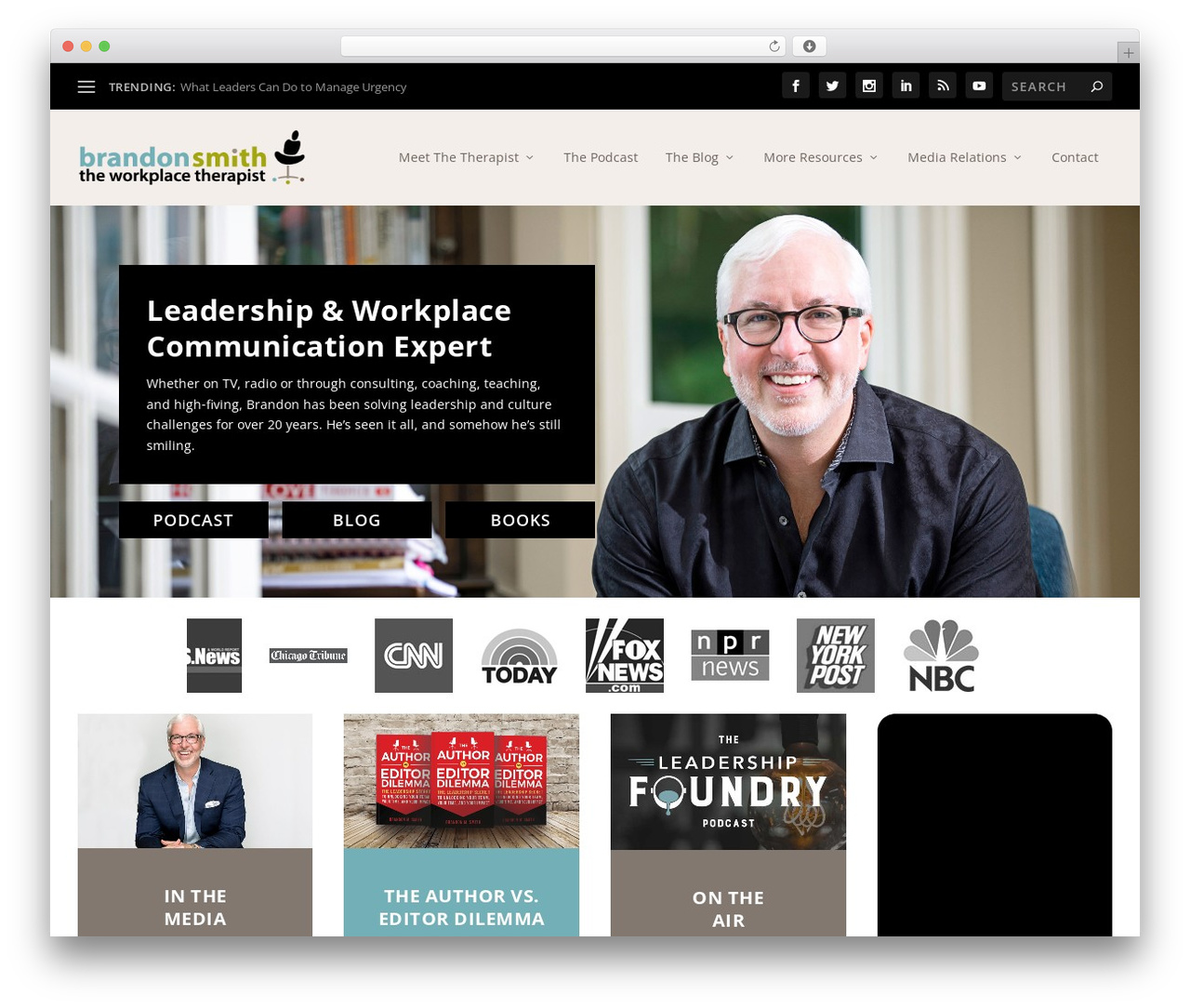Extra WordPress theme design - theworkplacetherapist.com