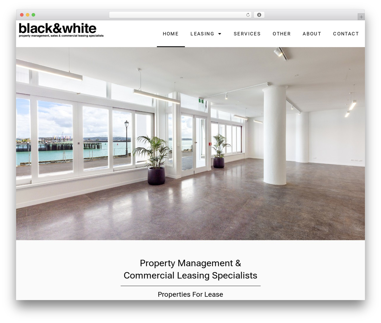 FWeb theme WordPress - blackandwhite.net.nz