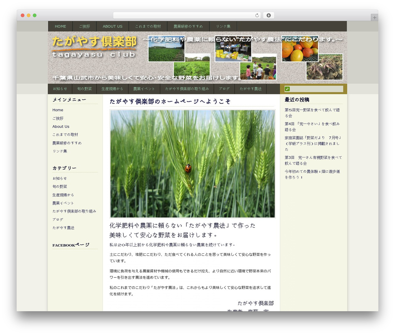 GoodLuck WordPress theme - tagayasuclub.com