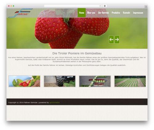 Green Theme WordPress theme - falkner-gemuese.at