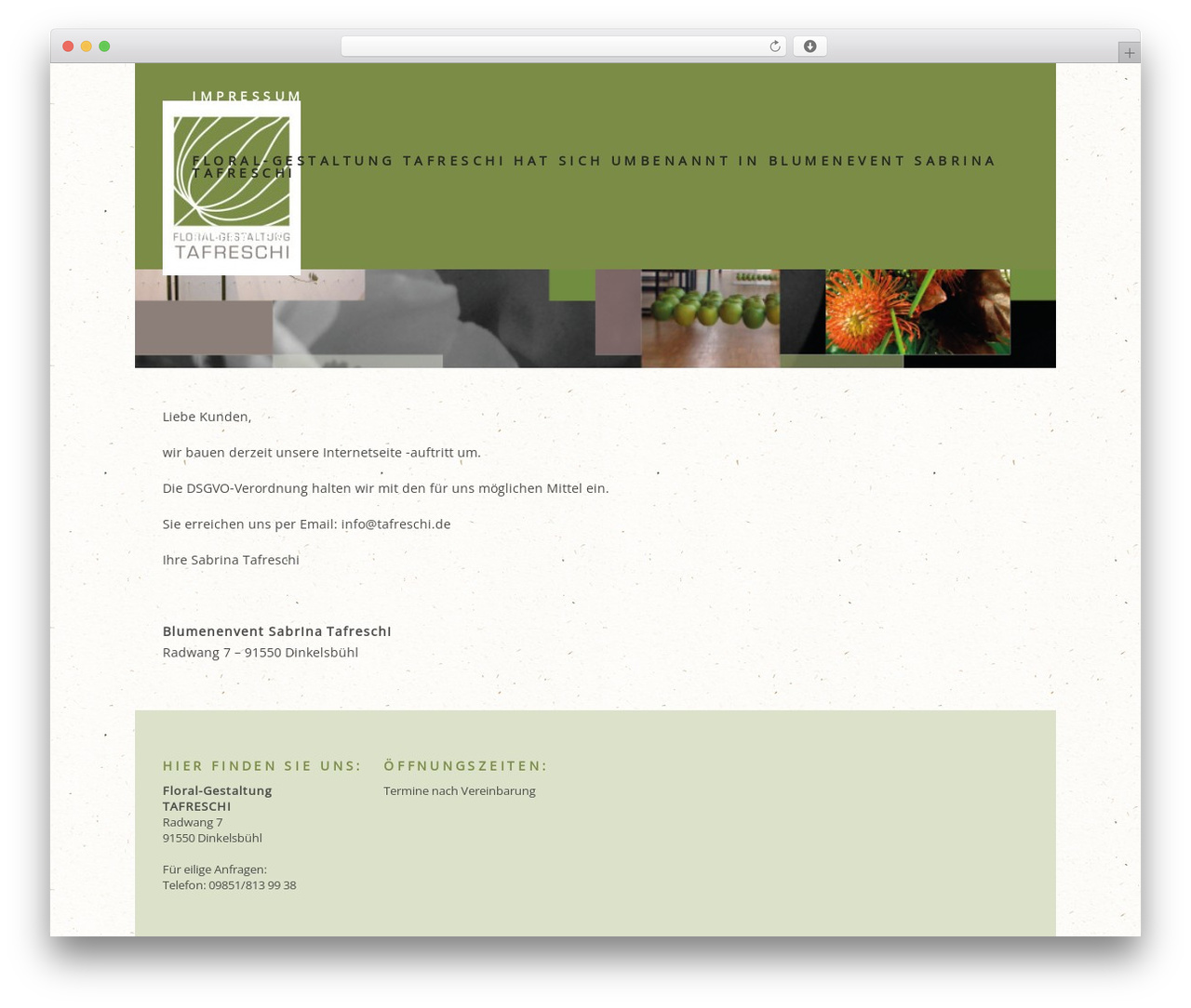 Nonus theme WordPress - tafreschi.de