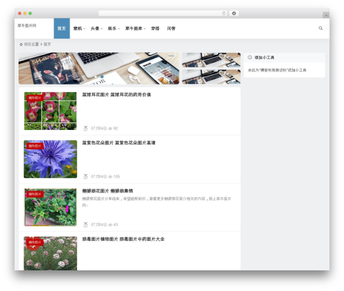 Theme WordPress Begin - xintp.com