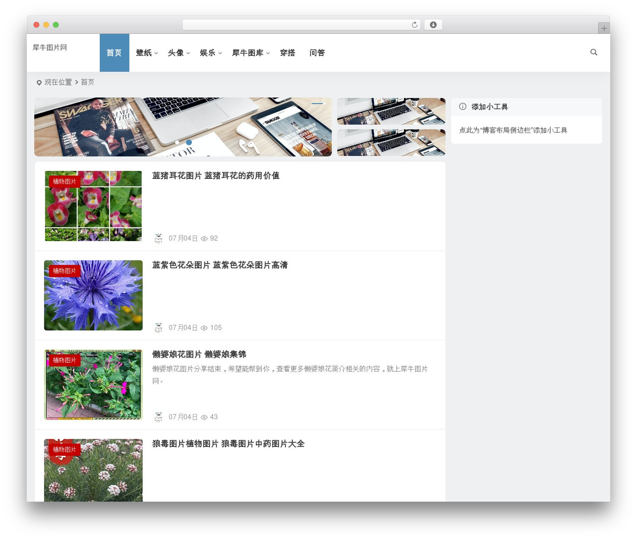 Theme WordPress Begin - xintp.com Theme WordPress Begin - xintp.com