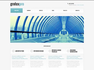 theme45542 WordPress theme