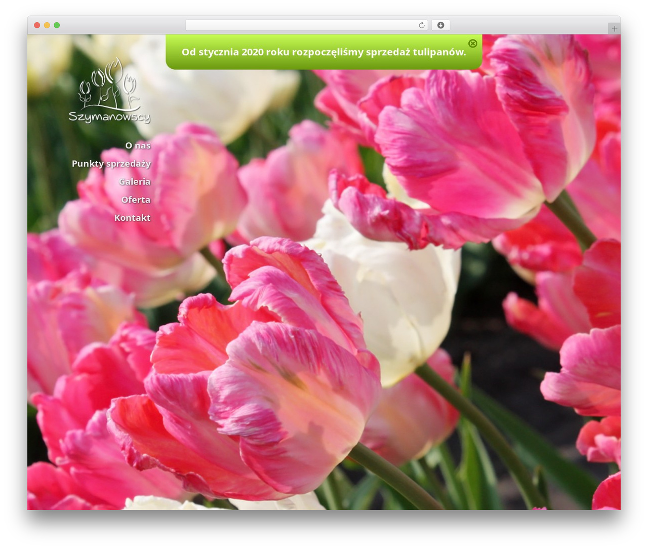 Vellum WordPress theme - tulipany.pl Vellum WordPress theme - tulipany.pl