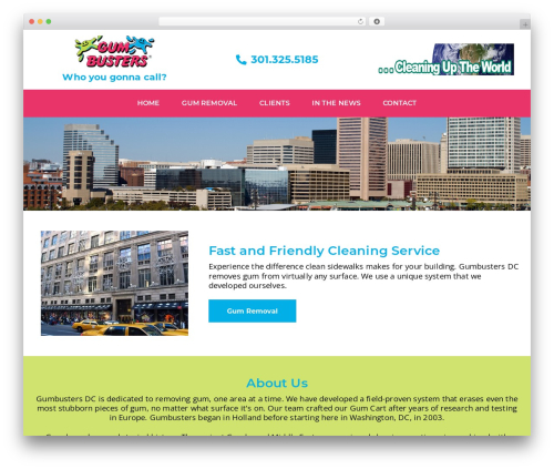 Visual Composer Starter theme WordPress - gumbustersdc.com