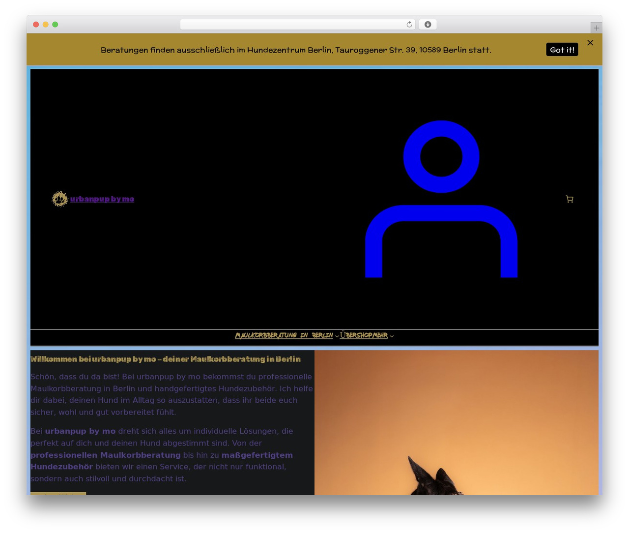 WordPress theme Extendable - urbanpupbymo.com WordPress theme Extendable - urbanpupbymo.com