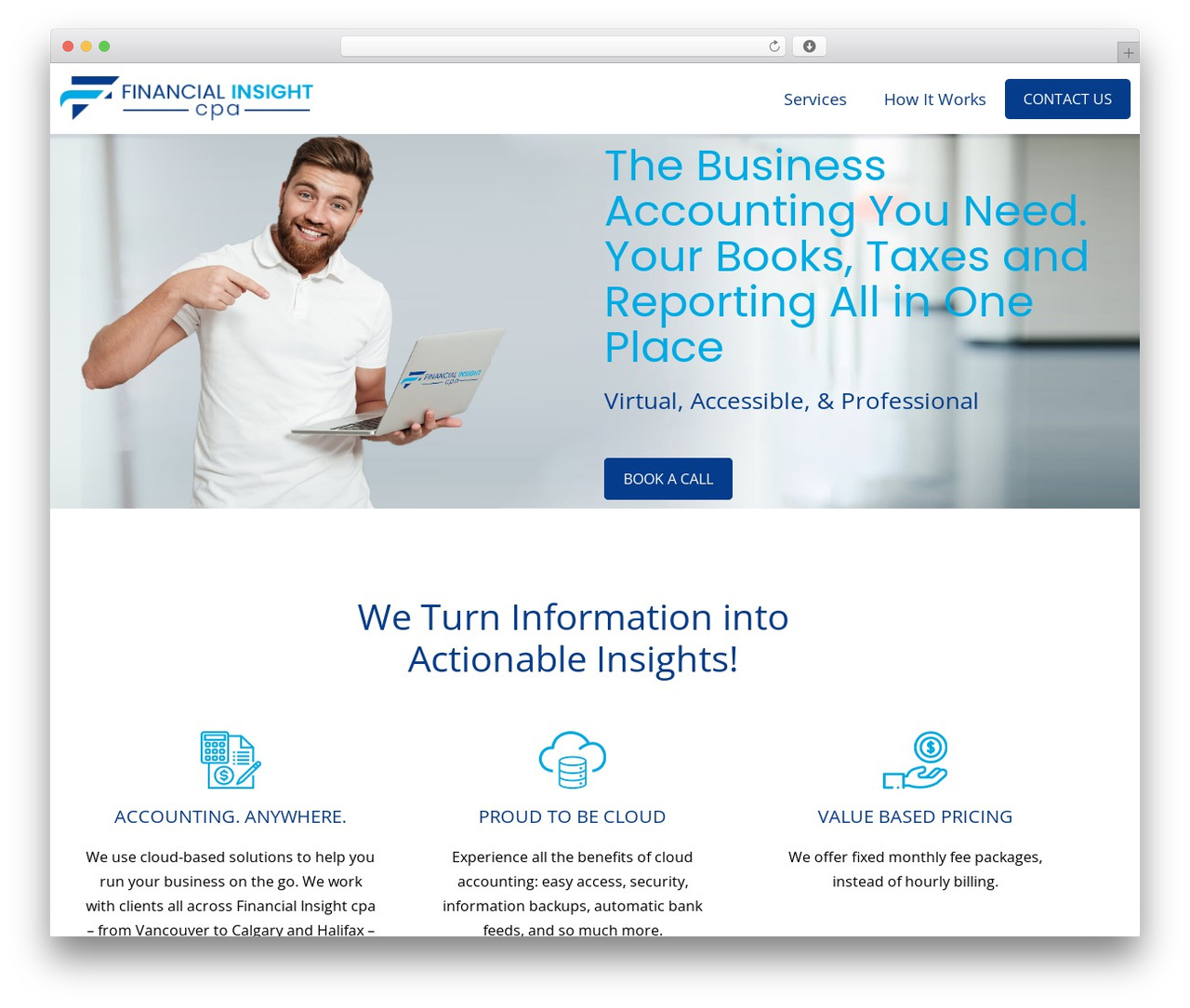 WordPress theme Hello Elementor - financialinsightcpa.com