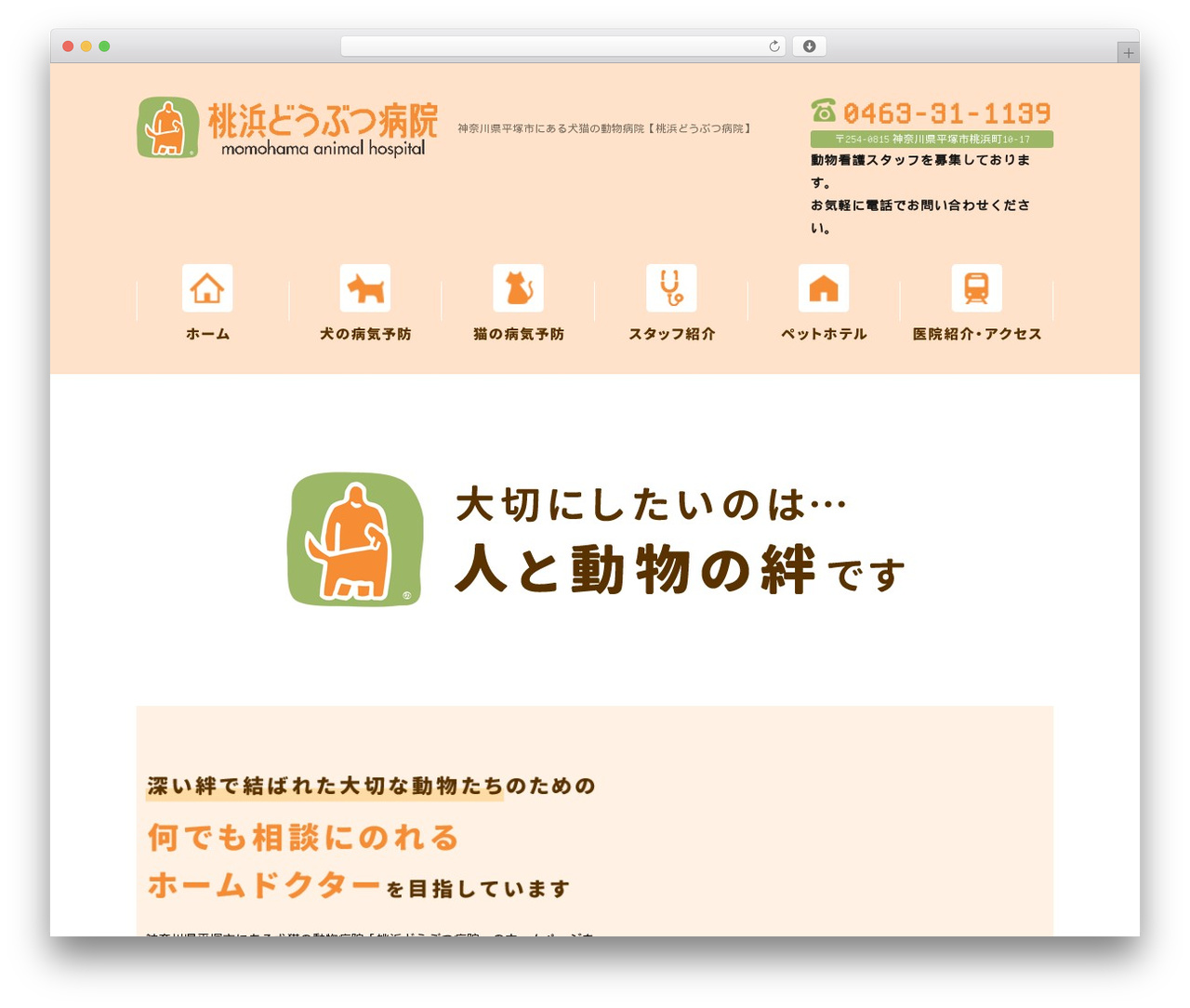 WordPress theme ManaSys - momohama.com WordPress theme ManaSys - momohama.com