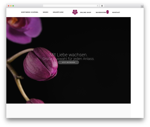 Flat Rate Shipping Plugin For WooCommerce (woo-extra-flat-rate) free WordPress plugin - gaertnerei-schoebel.com Flat Rate Shipping Plugin For WooCommerce (woo-extra-flat-rate) free WordPress plugin - gaertnerei-schoebel.com