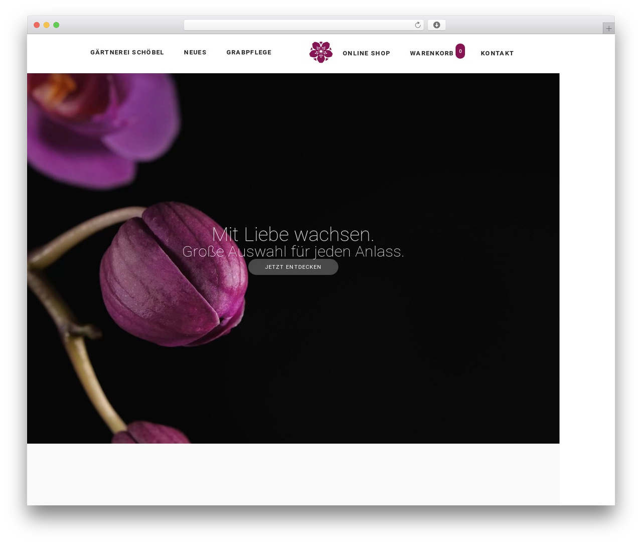 Hello Elementor free WordPress theme - gaertnerei-schoebel.com