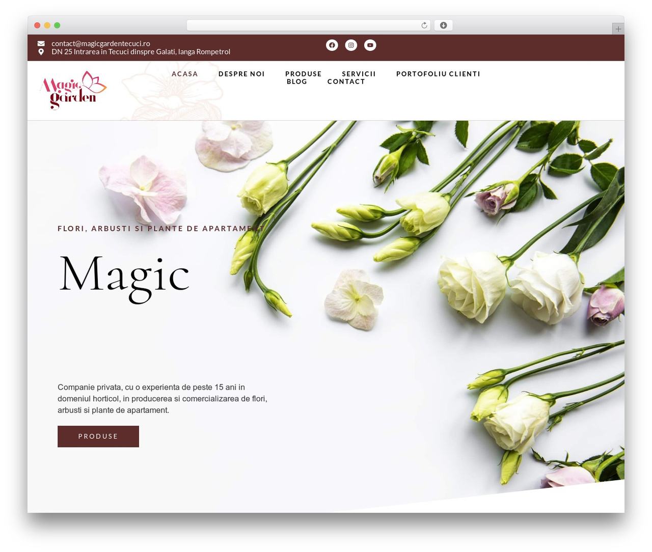 Hello Elementor WordPress shop theme - magicgardentecuci.ro Hello Elementor WordPress shop theme - magicgardentecuci.ro