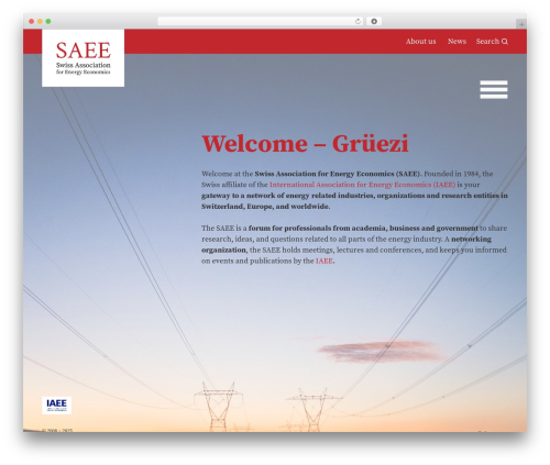 SAEE Website WordPress theme design - saee.ch