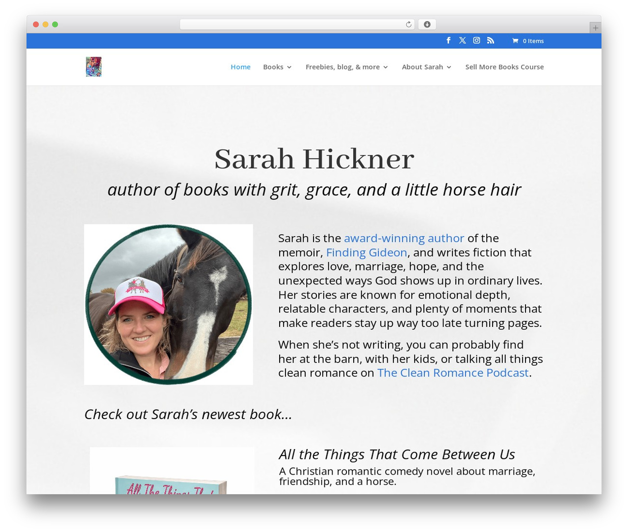 WordPress theme Divi - liveridelearn.com