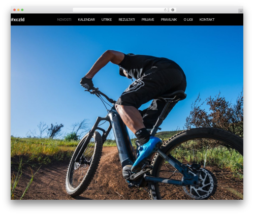 Wp excel cms WordPress plugin - xczld.info
