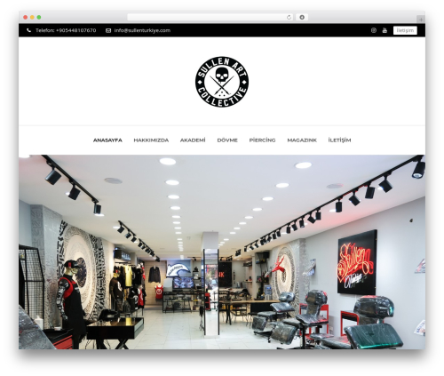 Cl_pricetable WordPress plugin - sullenturkiye.com