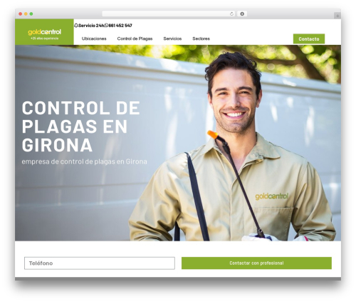 Simple consent mode WordPress plugin - gold-control.com