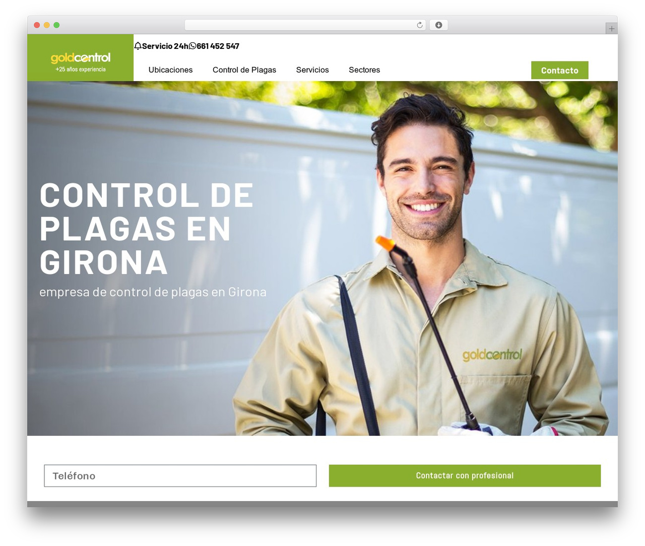 Hello Elementor Child WordPress theme - gold-control.com