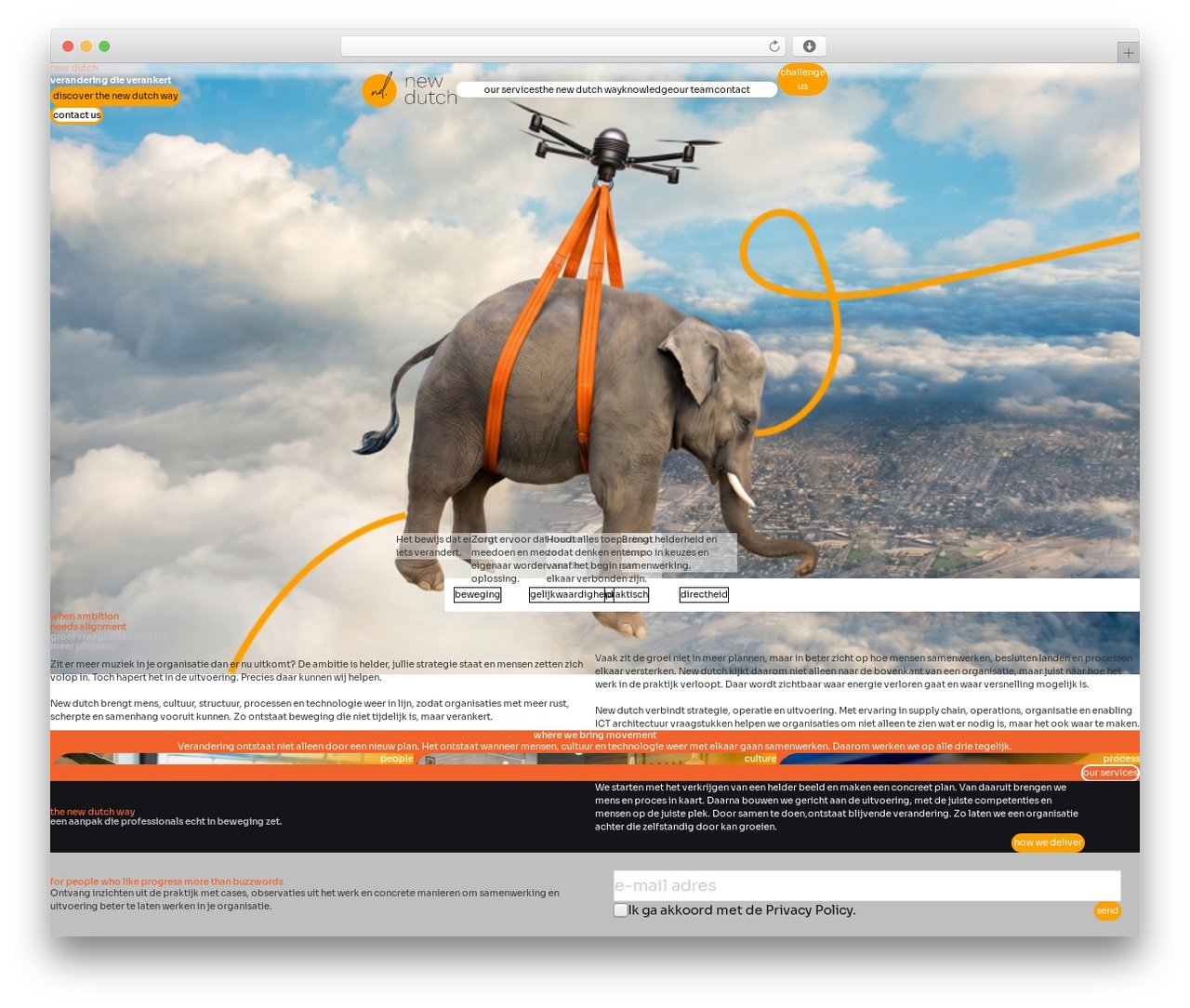 Hello Elementor Child WordPress theme - newdutch.com