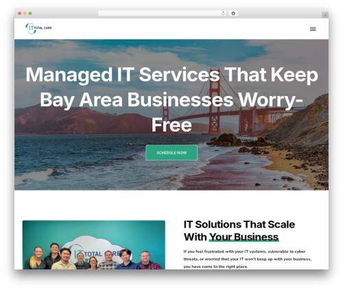 Technum plugin WordPress plugin - ittotalcare.com