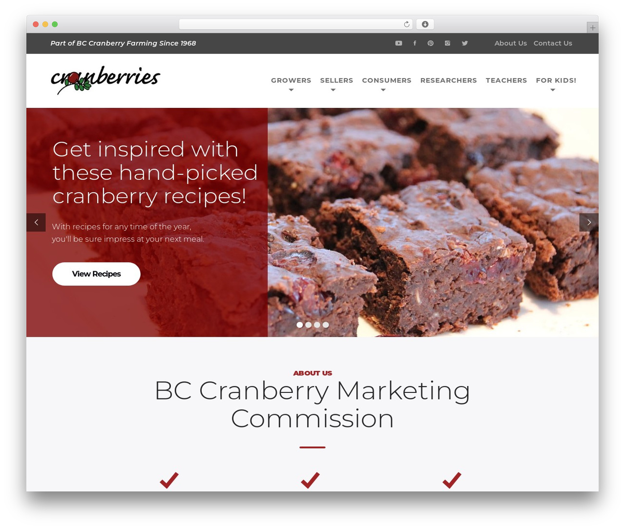 WP theme Atomlab - bccranberries.com
