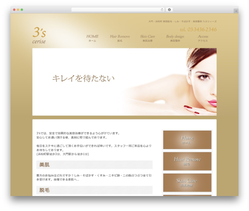 Responsive WordPress theme - sss3.net