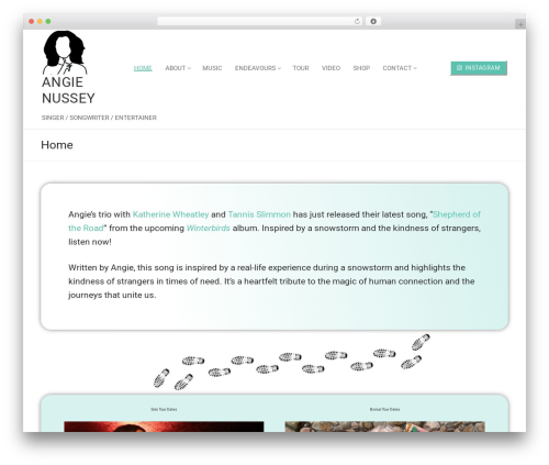 Feeds for tiktok WordPress plugin - angienussey.com