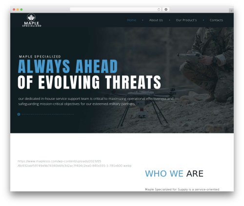 Mwt addons WordPress plugin - maplesss.com