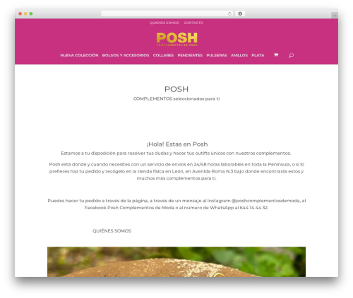 WordPress theme Divi - poshleon.com