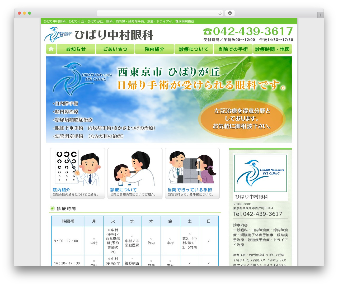 旧お医者さん WordPress theme - hibari-nakamuraganka.com