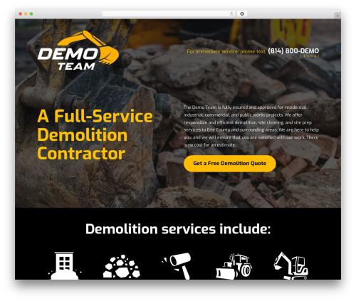 customTheme WordPress theme - thedemoteam.com