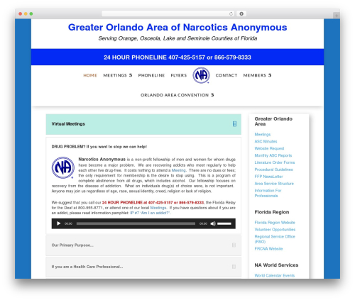 Divi WordPress theme - orlandona.org