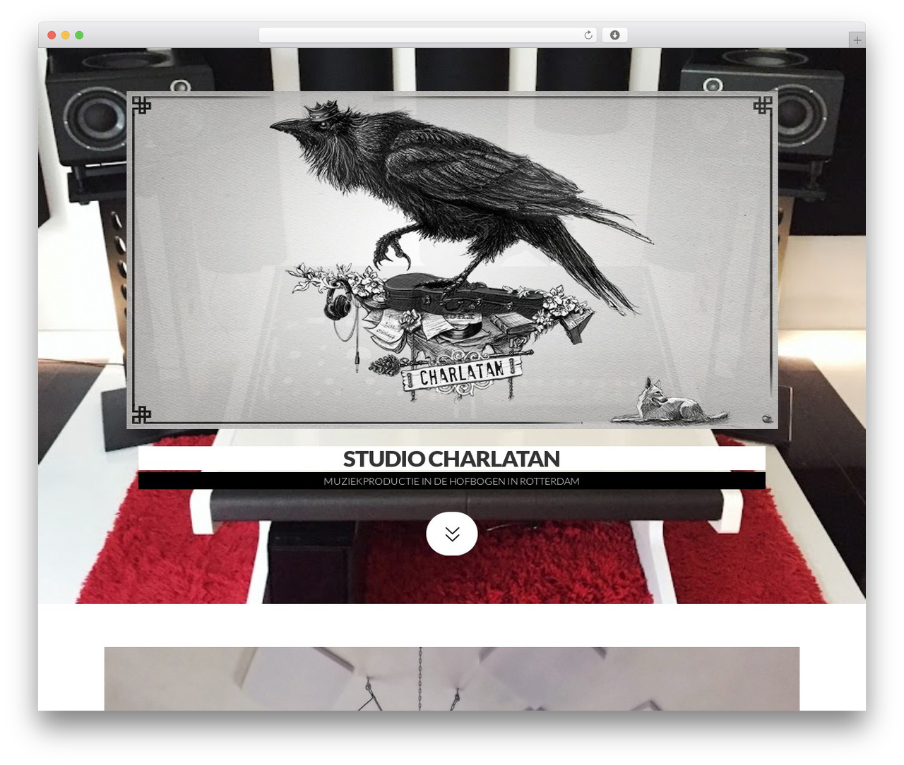Pro theme WordPress - studiocharlatan.nl