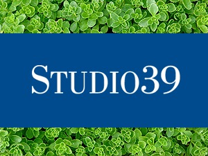 Theme WordPress STUDIO39 by Frankie's Folio