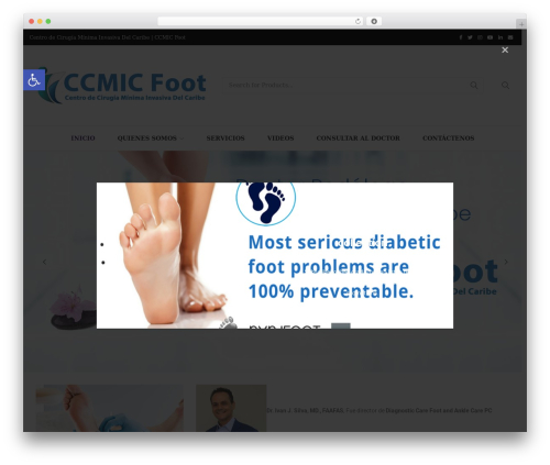 WordPress theme Lorada - ccmicfoot.com
