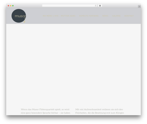 Qode music WordPress plugin - musor.de